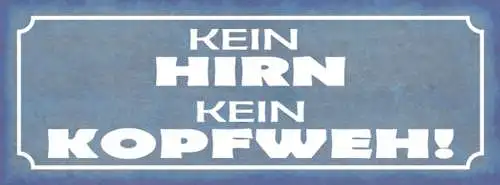 Schild Kein Hirn Kein Kopfweh Gehirn Denken Kopf Zerbrechen 27x10 Blech od.Holz