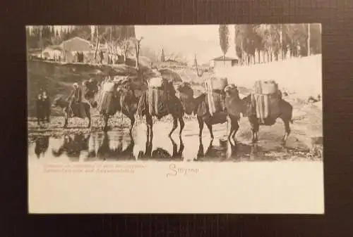 AK  Türkei Smyrne Kameel Karawane 650233 Ga E