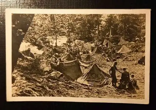 Zeltlager Unter Alten Baumriesen 402447 H Gr