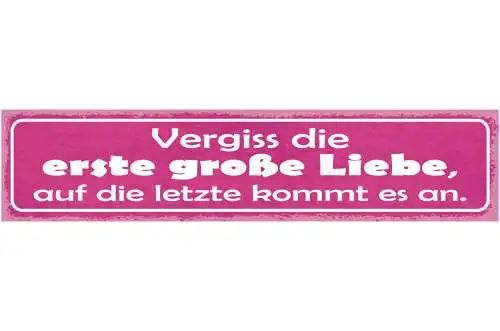Schild Vergiss Die Erste Große Liebe Auf Die Letzte Kommt Es An 46 x 10