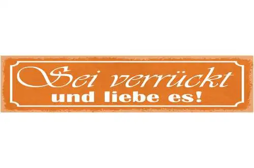 Schild Sei Verrückt Und Liebe Es Einmalig Anders 46 x 10 Blech od. Holz