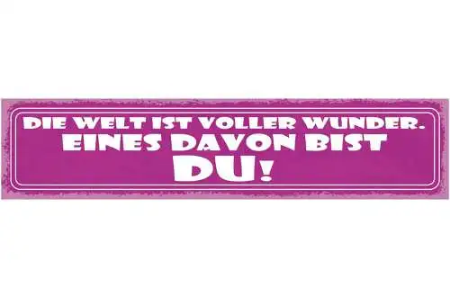 Schild die welt ist voller wunder eines davon bist du liebe 46x10 blech od. holz