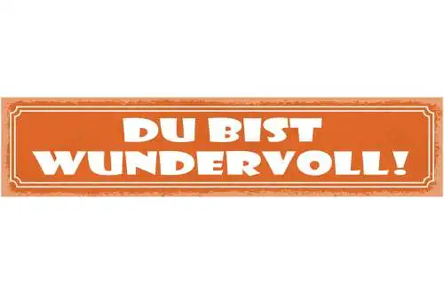 Schild Du Bist Wundervoll Liebe Beziehung Freundschaft 46 x 10 Blech od. Holz