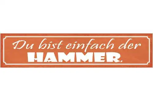 Schild Du Bist Einfach Der Hammer Einmalig Unglaublich 46 x 10 Blech od. Holz