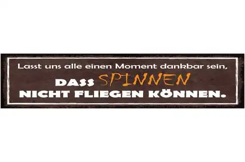 Schild Lasst Uns Alle Einen Moment Dankbar Sein Das Spinnen Nicht Fliegen Können