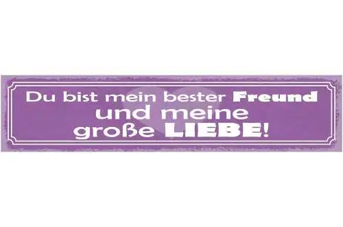 Schild du bist mein bester freund und meine große liebe 46 x 10 blech od. holz