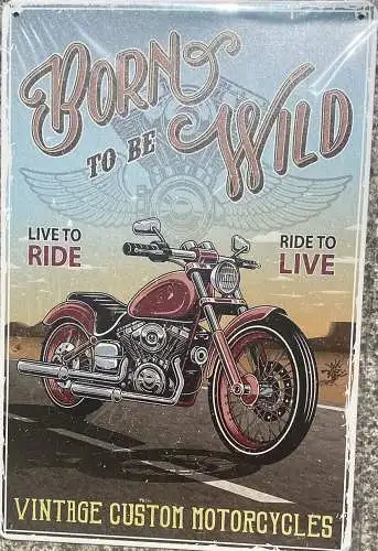 Born to be wild Vintage Motorcycle Motorrad Schild 30x20 70007