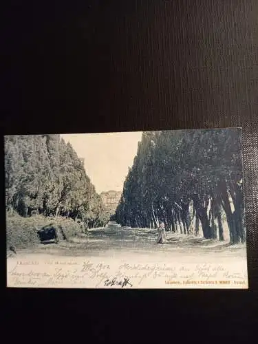 Frascati 400441 gr D