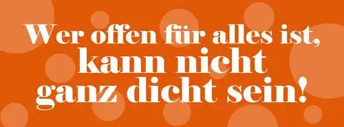 Schild Wer Offen Für Alles Ist Kann Nicht Ganz Dicht Sein 27 x 10 Blech od. Holz