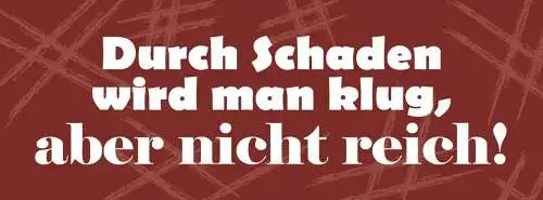 Schild durch schaden wird man klug aber nicht reich arm 27 x 10 blech od. holz