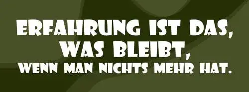 Schild erfahrung ist das was bleibt wenn man nichts mehr hat 27x10 blech od.holz