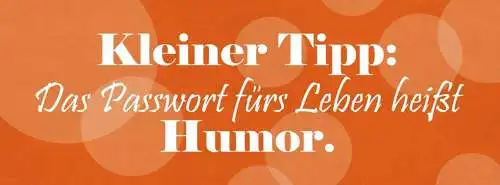 Schild kleiner tipp das passwort fürs leben heißt humor 27 x 10 blech od. holz