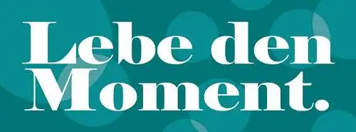 Schild lebe den moment leben genießen 27 x 10 blech od. holz