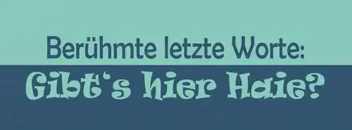 Schild berühmte letzte worte gibts hier haie meer haifisch 27 x 10 blech od.holz