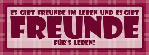 Schild Es Gibt Freunde Im Leben & Es Gibt Freunde Für's Leben 27 x 10