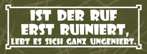 Schild ist der ruf erst ruiniert lebt es sich ganz ungeniert 27x10 blech od.holz