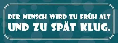 Schild Der Mensch Wird Zu Früh Alt & Zu Spät Klug 27 x 10 Blech od. Holz