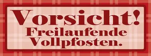 Schild Vorsicht Freilaufende Vollpfosten Idioten Doof Dumm 27 x 10 Blech od.Holz
