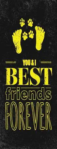 Schild you & i best friends forever beste freunde hund katze 27x10 blech od.holz
