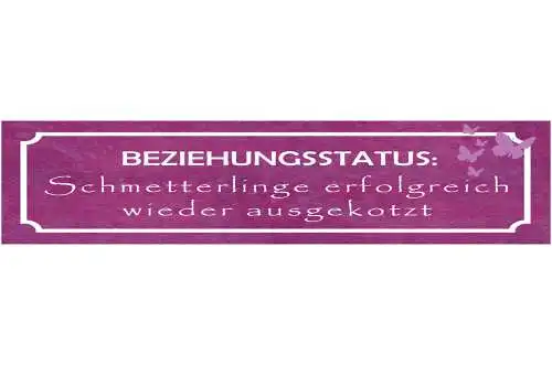 Schild Beziehung Status Schnetterlinge Trennung Liebe Ehe 46 x 10 Blech od. Holz