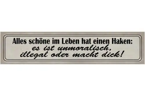 Schild Schöne Leben Haken Unmoralisch Illegal Dick Süßes 46 x 10 Blech od. Holz