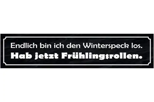 Schild Winter Speck Frühlingsrollen Abnehmen Diät Gewicht 46 x 10 Blech od. Holz