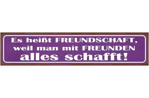 Schild Freundschaft Freunde Alles Schaffen Erreichen 46 x 10 Blech od. Holz