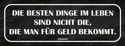 Schild Die Besten Dinge Im Leben Sind Nicht Die Man Für Geld Bekommt Einstein