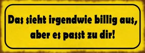 Schild das sieht irgendwie billig aus aber es passt zu dir kleidung 27x10