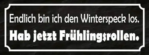 Schild endlich bin ich den winterspeck los hab jetzt frühlingsrollen 27x10