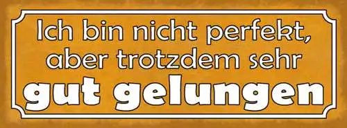 Schild ich bin nicht perfekt aber trotzdem sehr gut gelungen 27x10 blech od.holz
