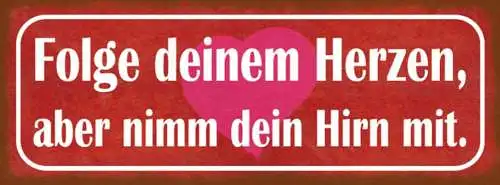 Schild folge deinem herzen aber nimm dein hirn mit denken 27x10 blech od.holz