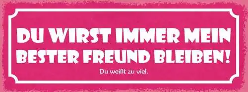Schild du wirst immer mein bester freund bleiben du weißt zuviel 27x10