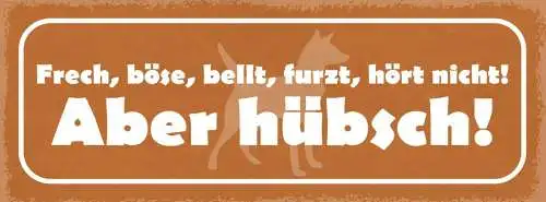 Schild frech böse bellt furzt hört nicht aber hübsch hund 27x10 blech od.holz