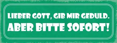 Schild lieber gott gib mir geduld aber bitte sofort wunsch 27x10 blech od.holz