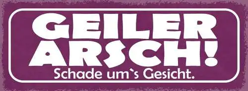 Schild geiler arsch schade um's gesicht 27x10 blech od.holz