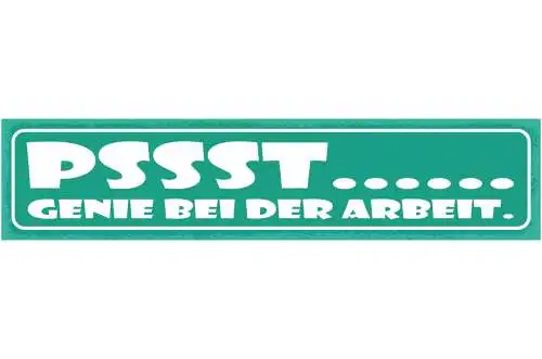 Schild Psst Genie Bei Der Arbeit Profi Arbeiten Job 46 x 10 Blech od. Holz