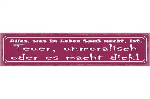 Schild Alles Was Im Leben Spaß Macht Ist: Teuer Unmoralisch Oder Es Macht Dick