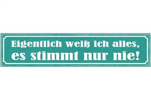 Schild Eigentlich Weiß Ich Alles Es Stimmt Nur Nie Falsch 46 x 10 Blech od. Holz