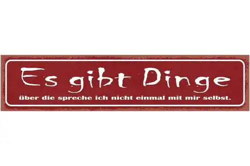 Schild Es Gibt Dinge Über Die Spreche Ich Nicht Einmal Mit Mir Selbst 46 x 10