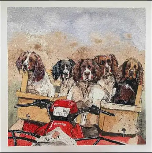 Alex Clark Hunde Working Spaniels Grußkarte  140x140 mm incl. Umschlag  0011