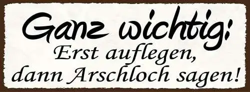 Schild ganz wichtig erst auflegen dann arschloch sagen  27x10 blech od.holz