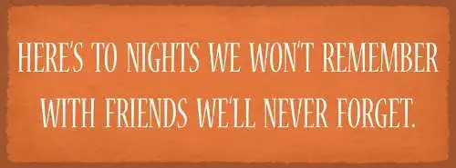 Schild here's to nights we won't remember with friends we'll never forget 27x10