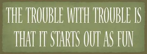 Schild the trouble with trouble is that it starts out as fun 27x10 blech od.holz
