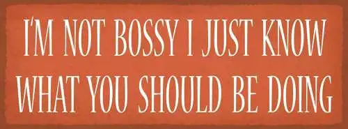 Schild i'm not bossy i just know what you should be doing 27x10 blech od.holz