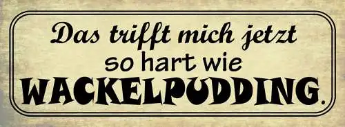 Schild Das Trifft Mich Jetzt So Hart Wie Wackelpudding Weich 27x10 Blech od.Holz