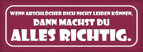 Schild Wenn Arschlöcher Dich Nicht Leiden Können Machst Du Alles Richtig 27x10