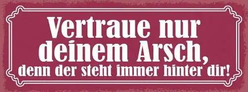 Schild Vertraue Nur Deinem Arsch Denn Der Steht Immer Hinter Dir Hintern 27x10