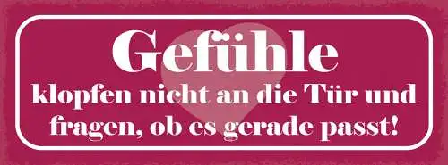 Schild Gefühle Klopfen Nicht An Die Tür & Fragen Ob Es Gerade Passt Liebe 27x10