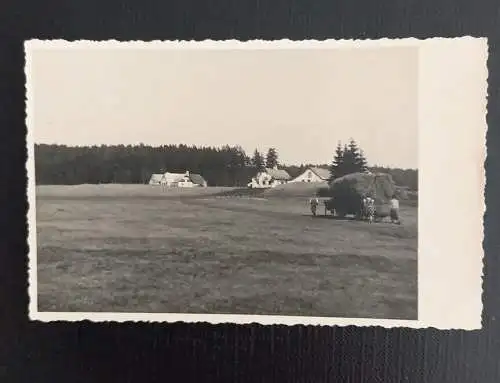 Haunsberg Kaiserbuche 650280 Ga E